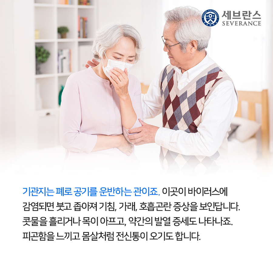 기관지는 폐로 공기를 운반하는 관이죠. 이곳이 바이러스에 감염되면 붓고 좁아져 기침, 가래, 호흡곤란 증상을 보인답니다. 콧물을 흘리거나 목이 아프고, 약간의 발열 증세도 나타나죠. 피곤함을 느끼고 몸살처럼 전신통이 오기도 합니다.