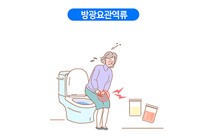 건강정보